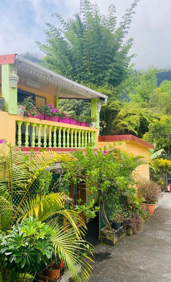 Chambres D'Hotes L'Orchidee Rose Salazie Exterior foto
